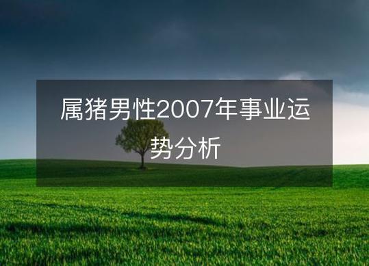 2007年属猪人适合做什么工作最吃香
