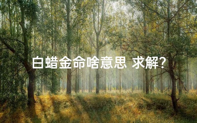 白蜡金和哪些土属性最合_白蜡金和什么土相配_白蜡金命配什么土最好
