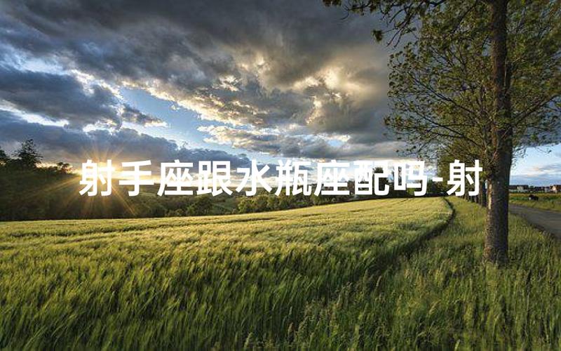 射手女水瓶座匹配度_射手女水瓶座性格合拍吗_射手女和水瓶座男匹配程度是多少