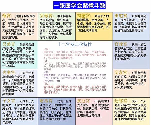 紫微斗数财帛宫主星辅星四化分析_紫微斗数财帛宫怎么看_紫微斗数财帛宫看财运方法
