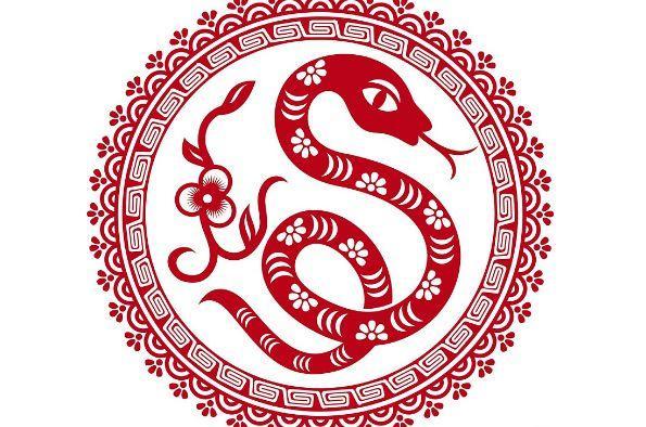 火蛇命适合什么行业_火蛇命适合从事什么工作_火蛇命适合干什么工作
