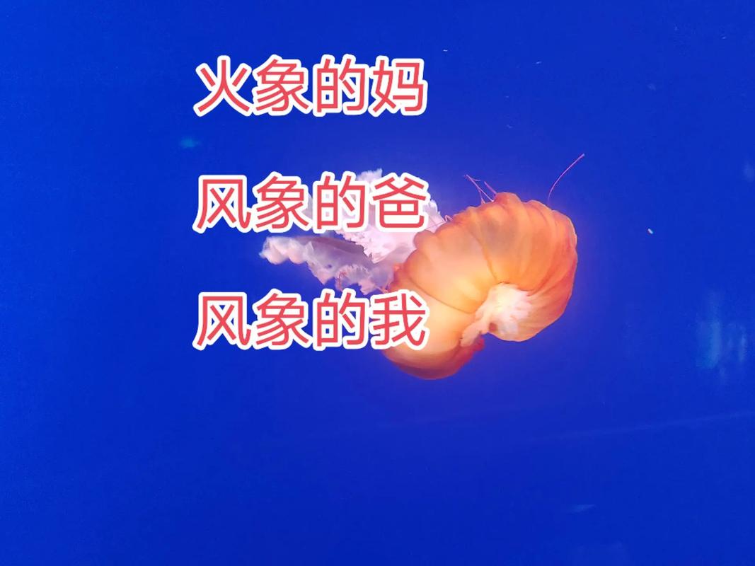 白羊座双子座相处模式分析_白羊座双子座性格配对_白羊座和双子座的匹配度是多少