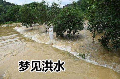 孕妇梦见洪水代表什么_孕妇梦见发洪水是什么意思_孕妇梦见发洪水了是什么意思
