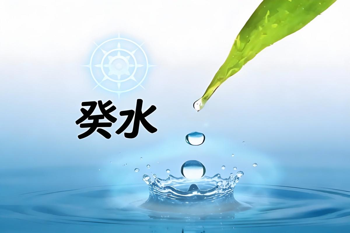 水命人适合做什么行业_水命适合行业_水命人职业规划
