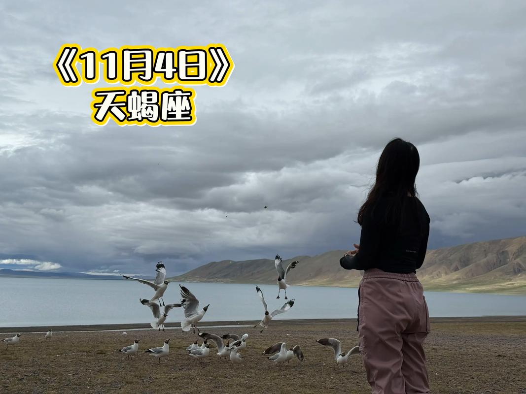 神秘感十足的人_读懂天蝎座内心的人_能让天蝎座主动联系是什么人