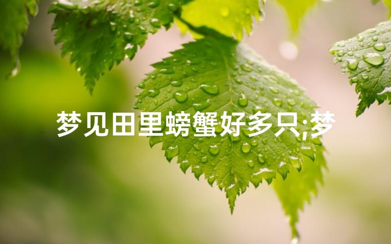 梦见好多螃蟹预示什么_梦见大量螃蟹解析_梦见好多螃蟹