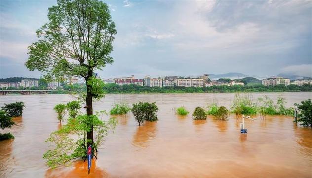 梦见涨水又退了是什么意思_梦见涨水又退了是什么意思_周公解梦涨水消退预示