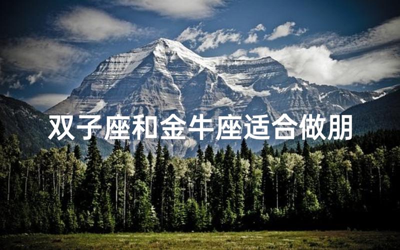 双子座男和金牛座女配吗？两人相爱能长久吗？
