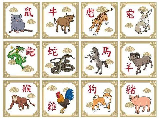 属狗的人能压住谁？揭秘十二生肖相克真相，性格互补是关键