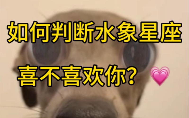 水象星座电影喜好_巨蟹座电影偏好_水象星座电影偏好