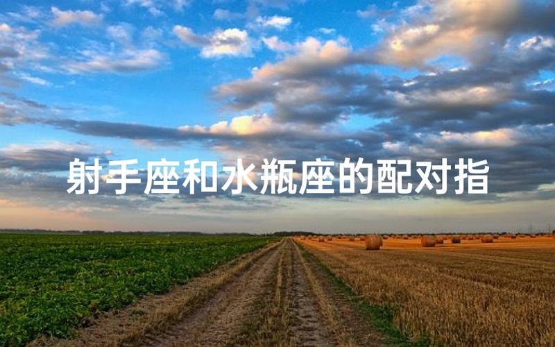 两个水瓶座谈恋爱合不合适？揭秘同星座配对真相