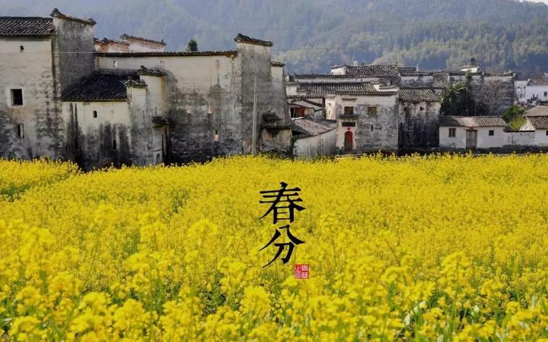 紫微斗数选择购房方位吉凶_紫微斗数看买房最佳时机_紫微斗数看买房