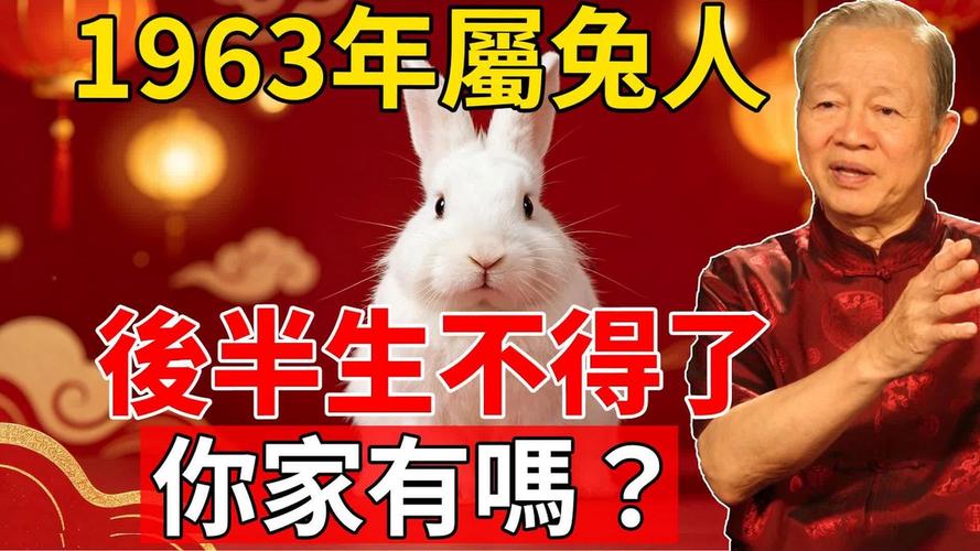 金兔命一生最克3个人_金兔命与属鸡相克_金兔命与属龙冲突