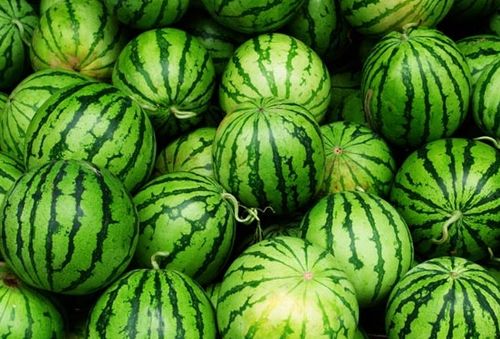 梦见地里有好多西瓜预示什么_做梦梦到地里有好多西瓜_西瓜梦解析