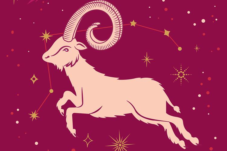 白羊座聪明吗白羊座是学霸吗_白羊座学习能力_白羊座聪明吗