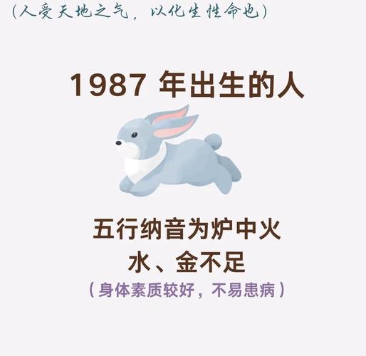火兔命五行缺什么_火兔命五行缺什么_火兔命缺水缺金缺土