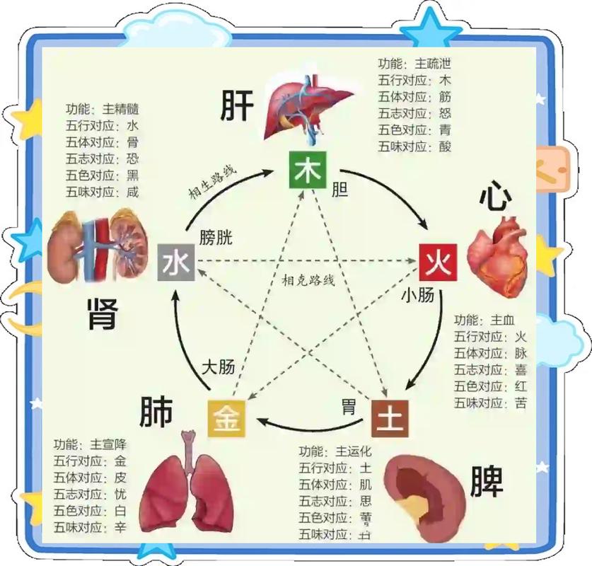木虎命五行缺什么_木虎命五行缺啥_木虎命如何补救五行缺失