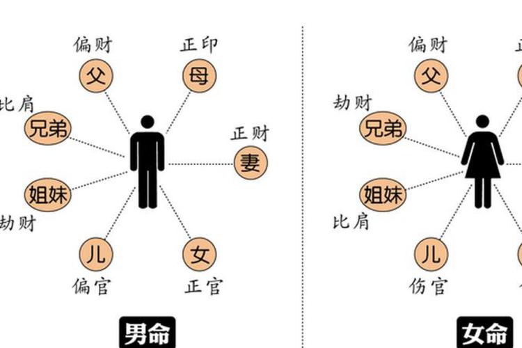 八字十神详解_八字十神详细解释_十神五种基本关系