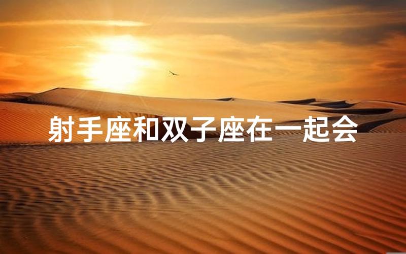 双子座和射手座婚姻怎么样_双子座射手座婚姻状况_双子座射手座相处模式