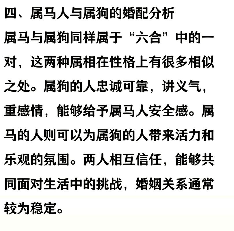 属马适合生什么属相的孩子