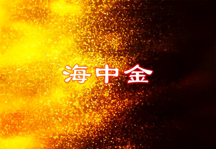 海中金命和海中金命配吗