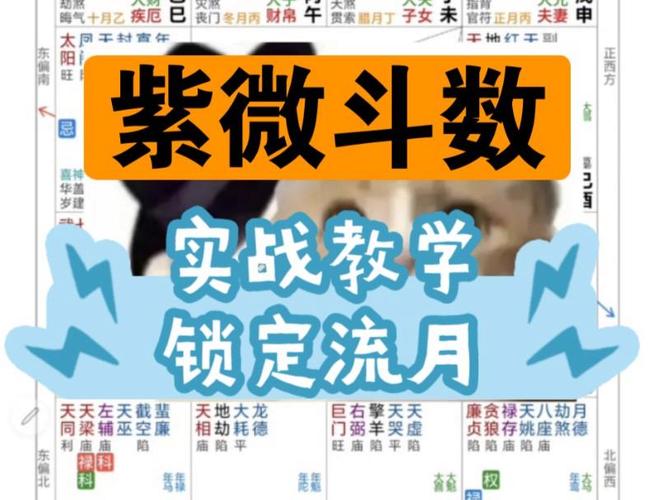 紫微斗数怎么看流月