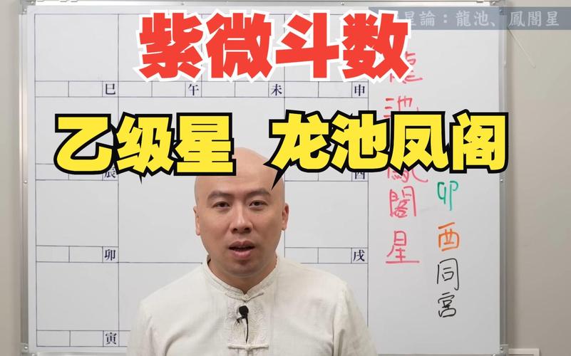 紫微斗数凤阁