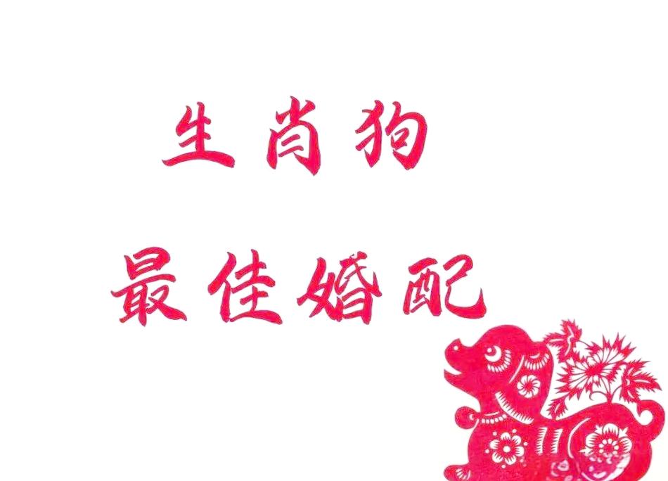 属狗的人和什么属相最配 婚姻配对详解