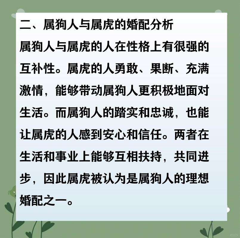 狗和什么属相不到头