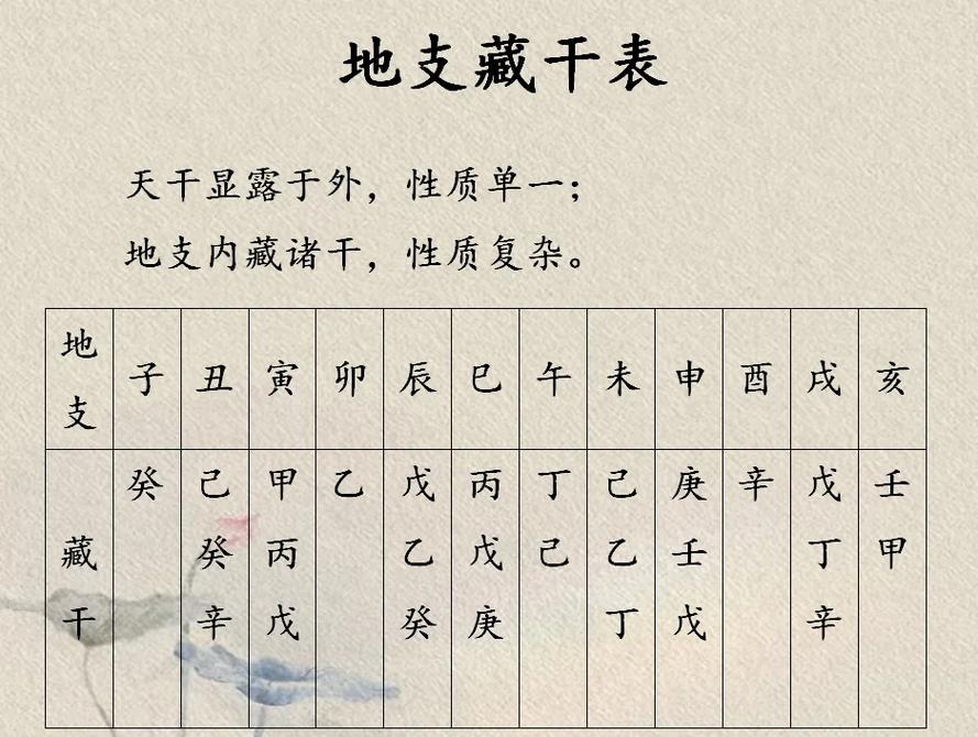 八字如何看藏干