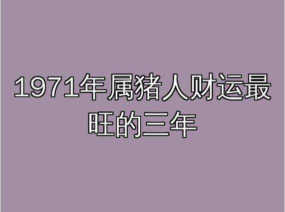 属猪人发财最猛三个城市