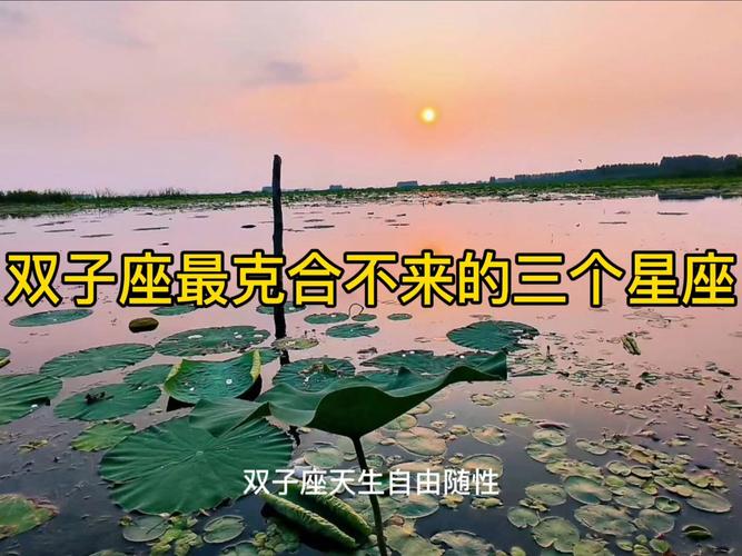 双子座和什么星座最配 哪几个星座最合得来