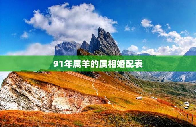 属羊人离婚后会幸福吗