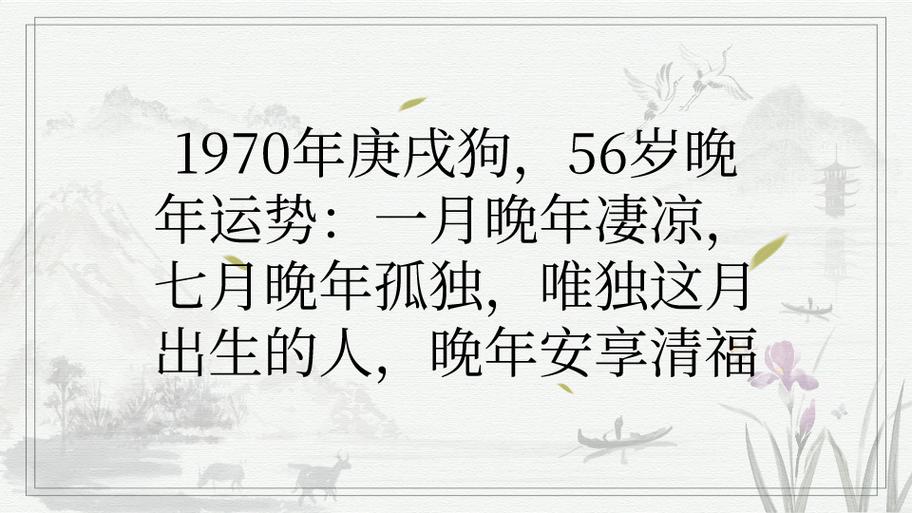 几月出生的女狗晚年最有福 老话说这三个月份最享清福