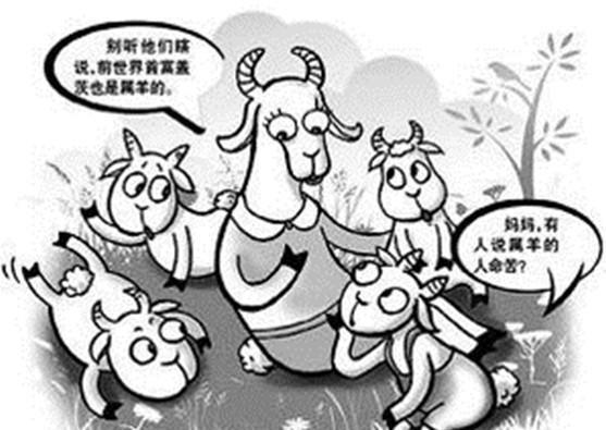 都说属羊命苦 这话到底有没有道理