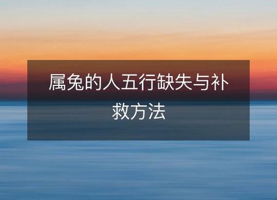 木兔命里缺什么2011年