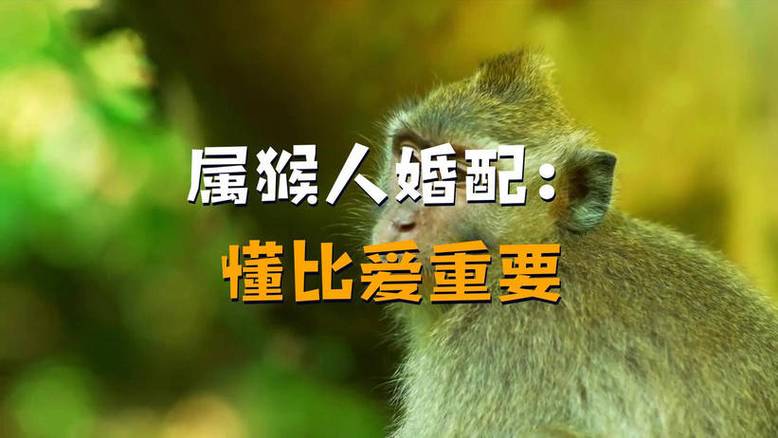 2026属猴婚姻会出现第三者吗 今年属猴人的感情走向怎么看