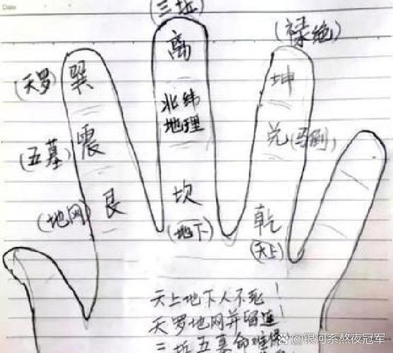 八字中的天罗地网查法表