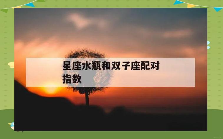 水瓶座和什么座最配对指数高 和谁最搭