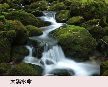 大溪水命的女人的命运