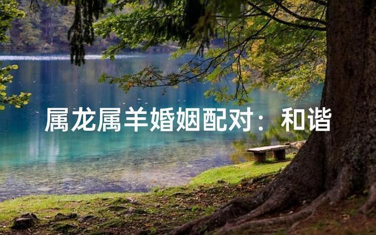 属龙人最好的伴侣，生肖龙最深爱的人是谁