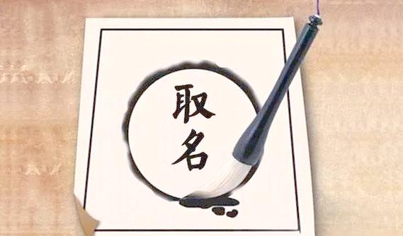1981年属鸡的公司起名