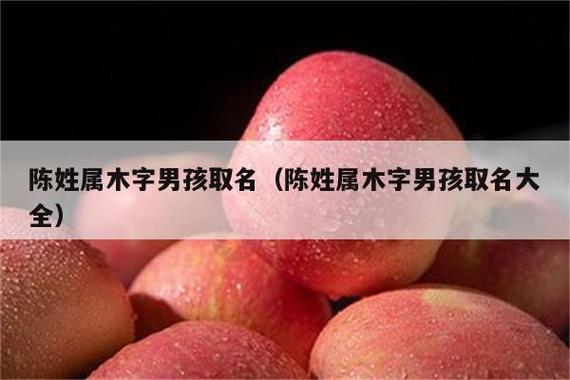 宝宝起名木字旁男宝