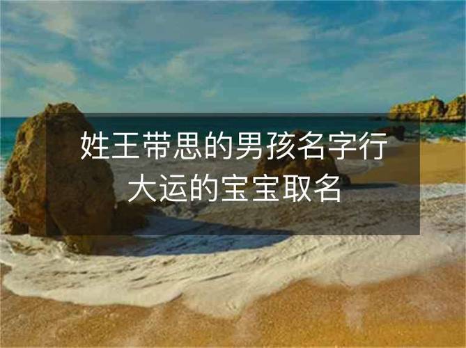 2022年王姓男宝宝起名