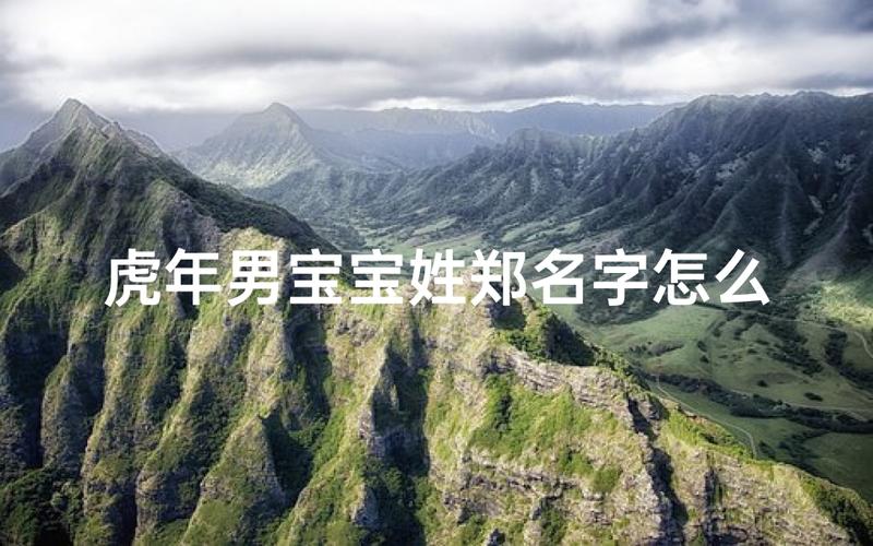 2021年郑姓宝宝起名