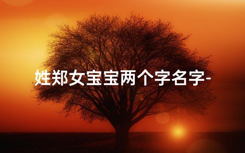 2021年郑姓宝宝起名