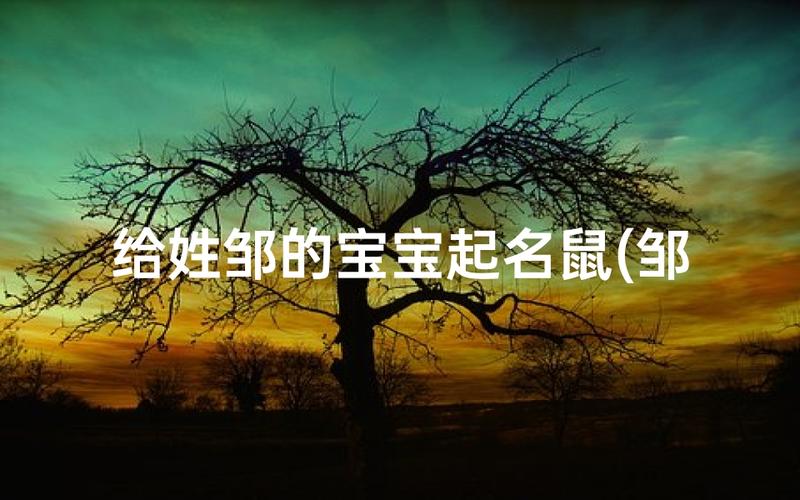 给姓邹的宝宝起名，这几个细节别漏掉