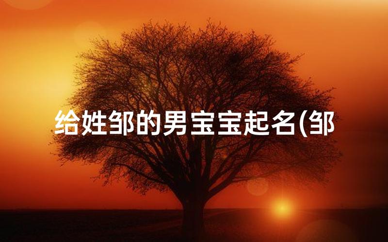 给姓邹的宝宝起名