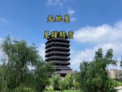 紫微斗数天姚星