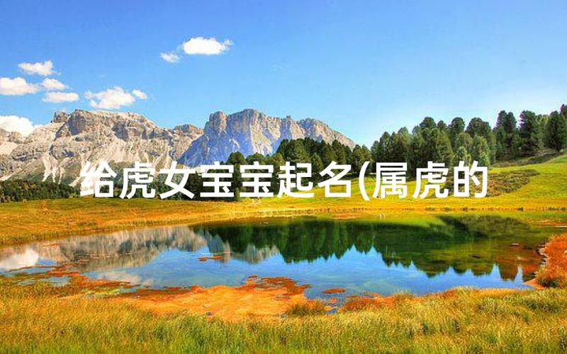 2026 年属虎双胞胎女宝宝取名大全
